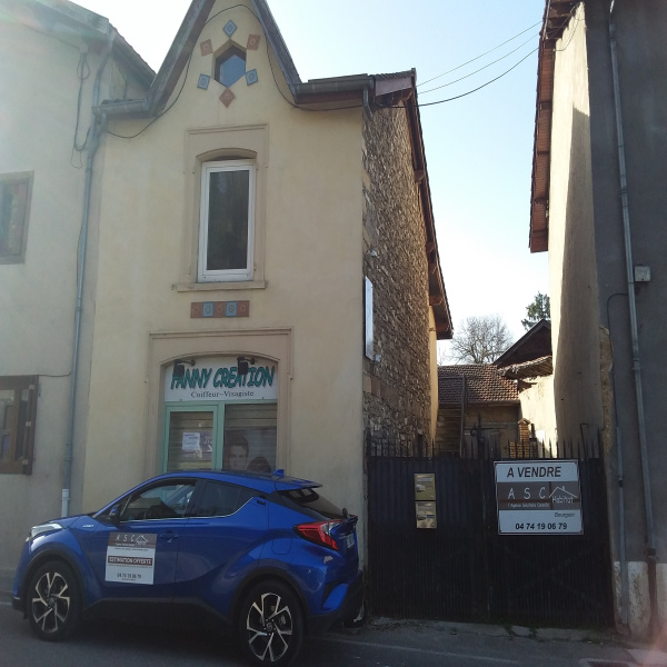 Vente Immobilier Professionnel Local commercial Saint-Chef 38890